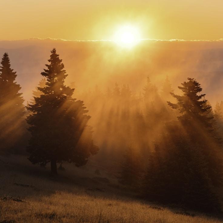 National parks landscape